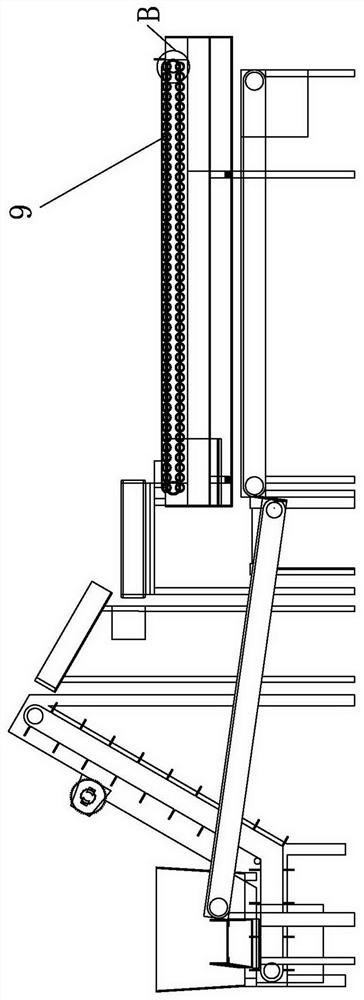 Feeding and arranging device for red dates