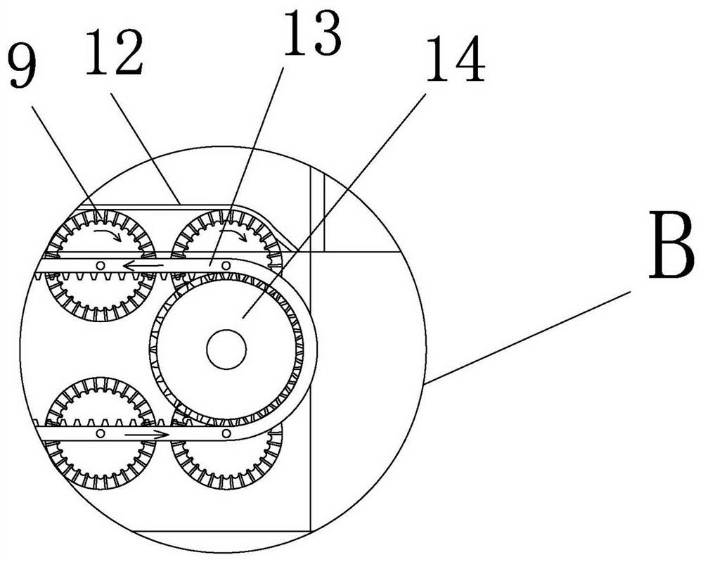 Feeding and arranging device for red dates