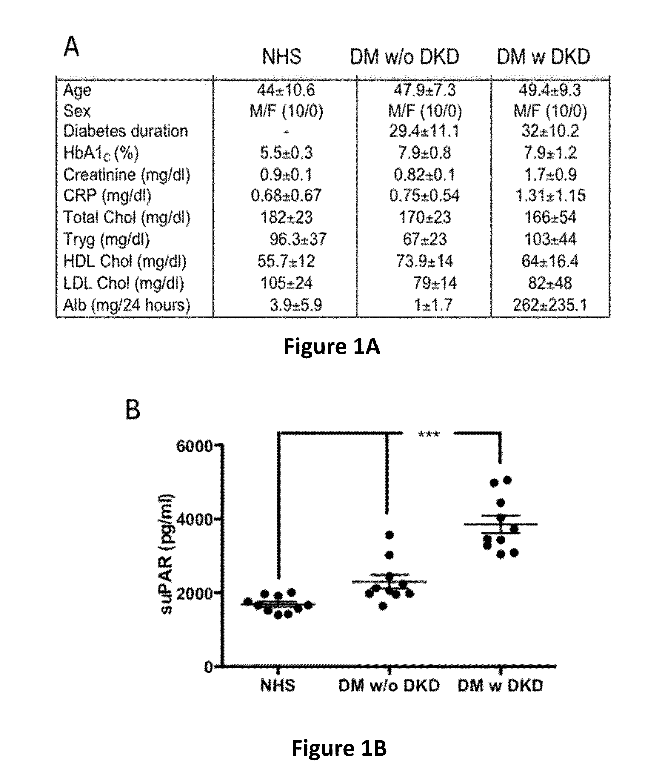 Soluble urokinase receptor (SUPAR) in diabetic kidney disease