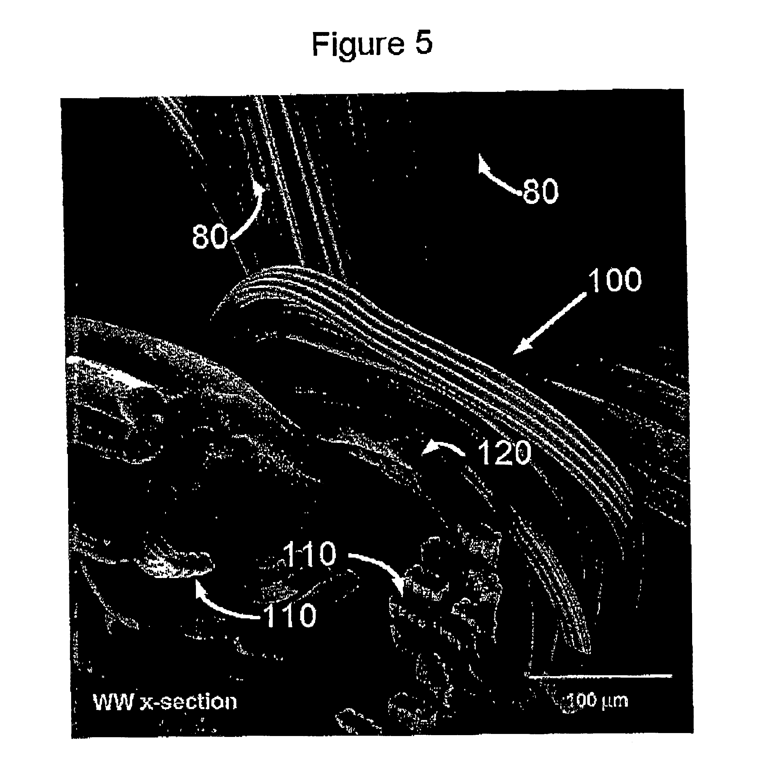 Fabric incorporating polymer filaments having profiled cross-section