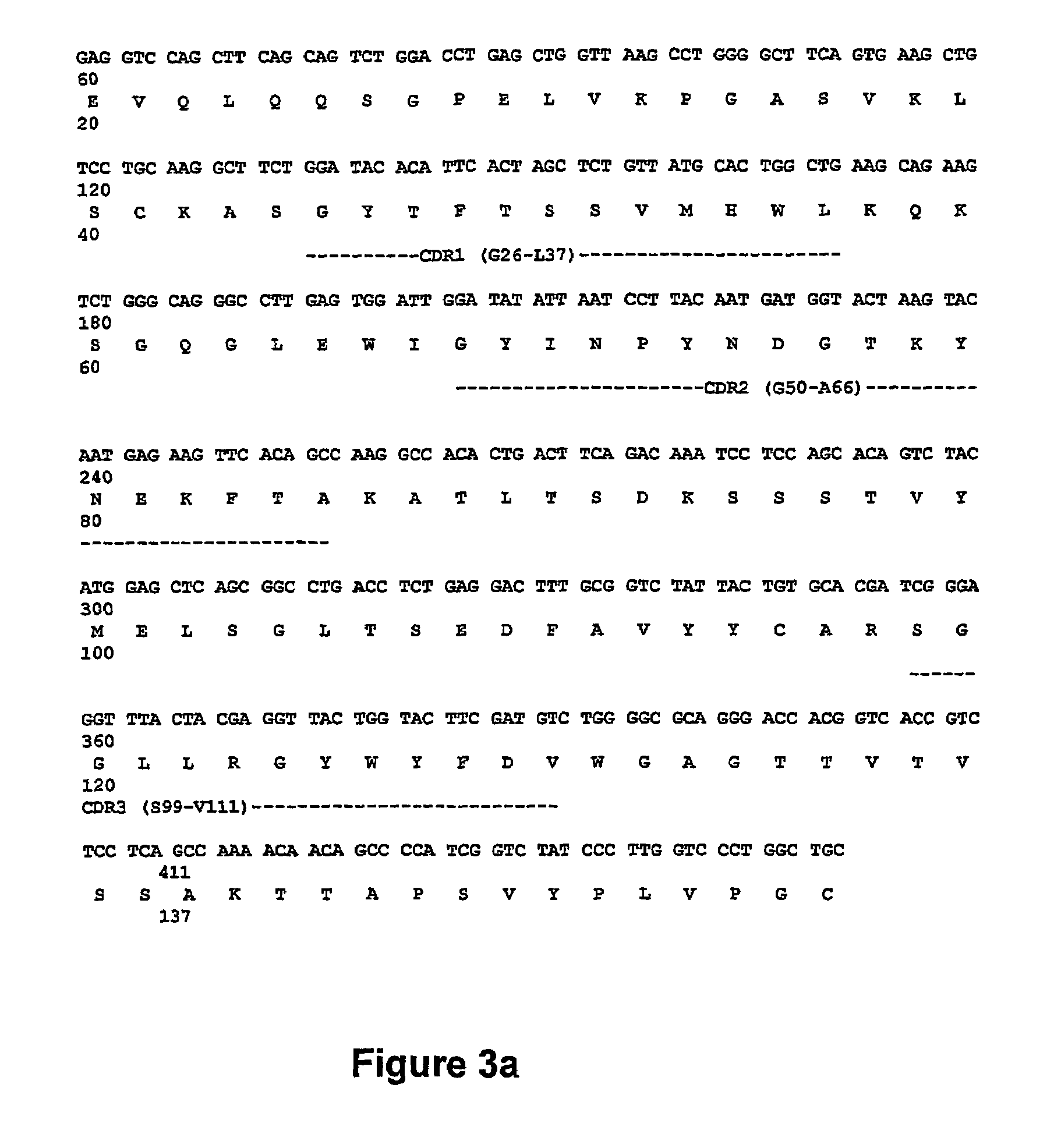 Anti-idiotypic antibodies against factor VIII inhibitor and uses thereof