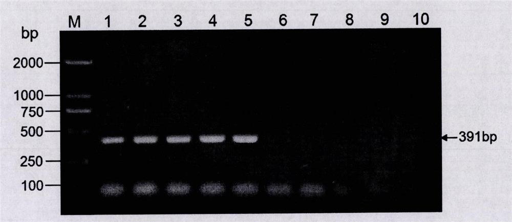 Flanking sequences of foreign insert fragment of high oleic acid transgenic soybean event e2d9050 and its application