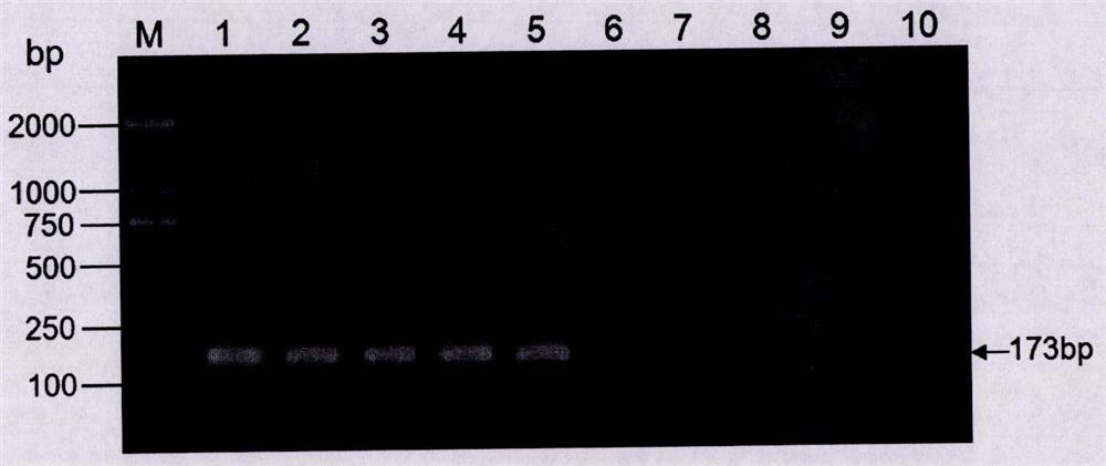 Flanking sequences of foreign insert fragment of high oleic acid transgenic soybean event e2d9050 and its application