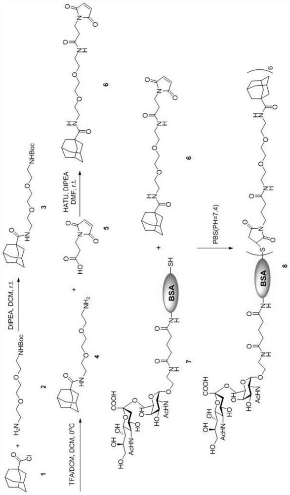 Carrier protein based on subject-object self-assembly and application thereof