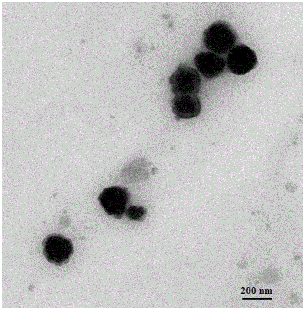 Betulinic acid nano-liposome wrapped with nanogold spherical shell and preparation method thereof