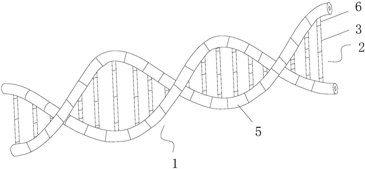 Nucleotide model device