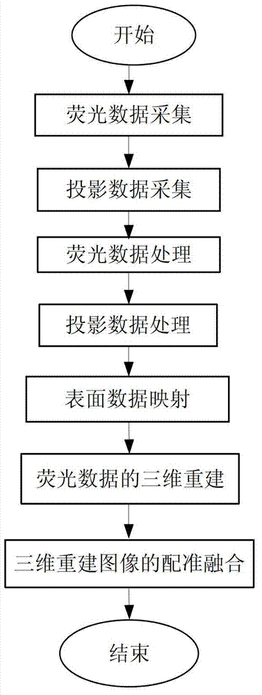 Cone-beam X-ray luminescence tomography system of combination imaging and method thereof