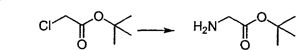 Production technique of tert-butyl glycinate adapted for industrial production