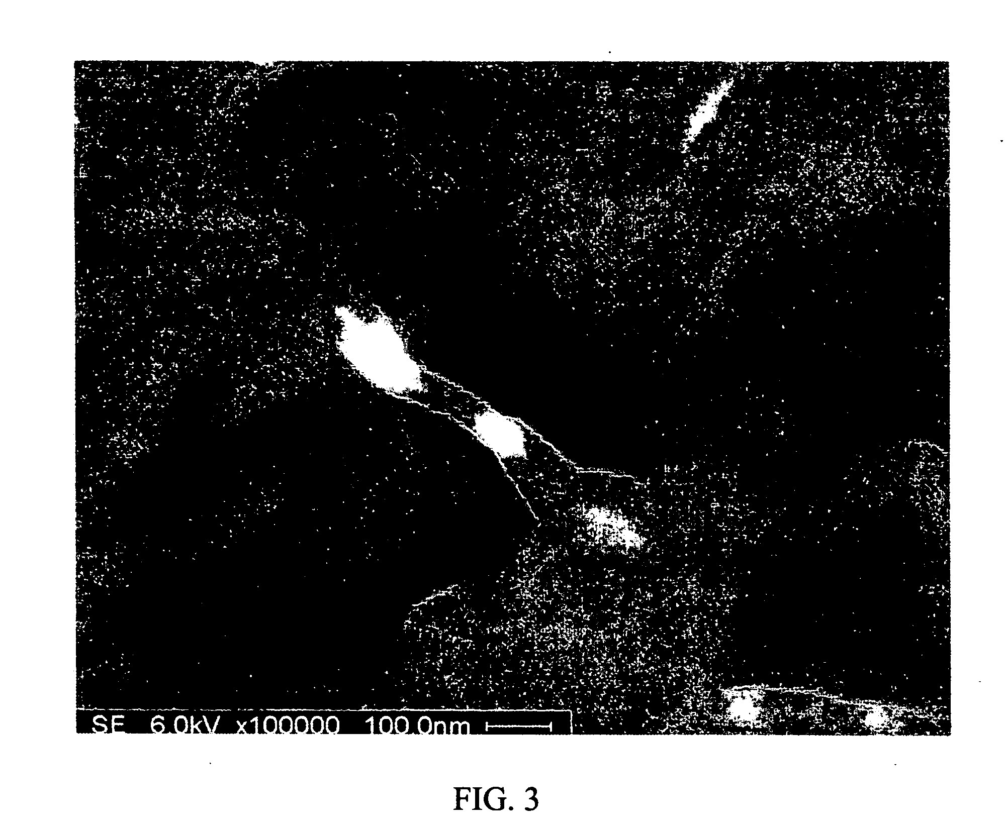 Polymer/carbon nanotube composites, methods of use and methods of synthesis thereof