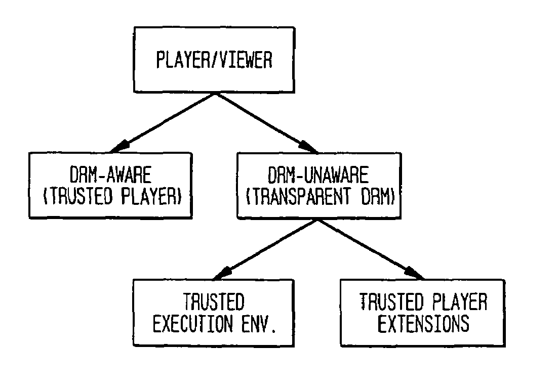 Transparent digital rights management for extendible content viewers