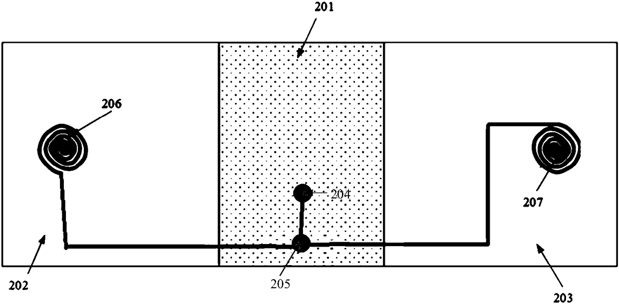 Flexible display screen and display device