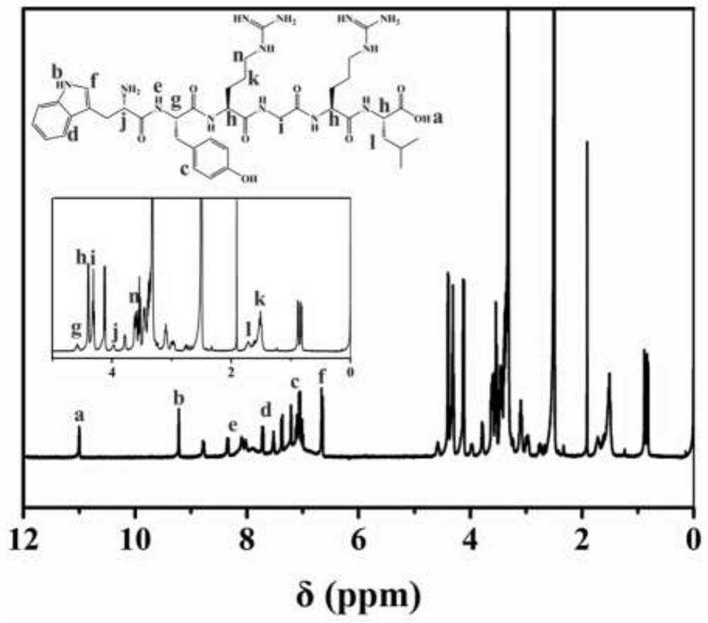 Zwitterionic hydrogel capable of recruiting type II collagen and its preparation method and application