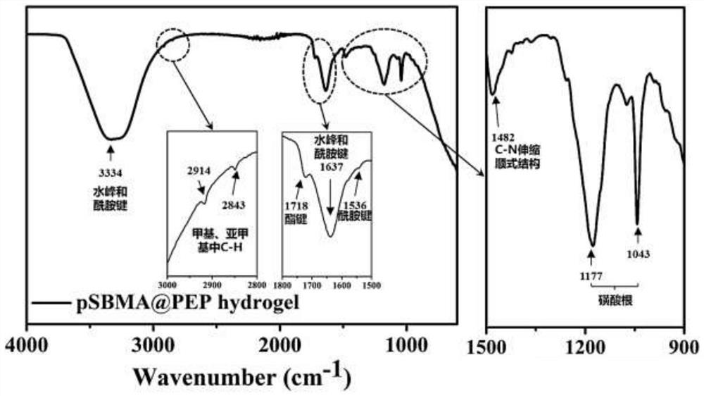 Zwitterionic hydrogel capable of recruiting type II collagen and its preparation method and application