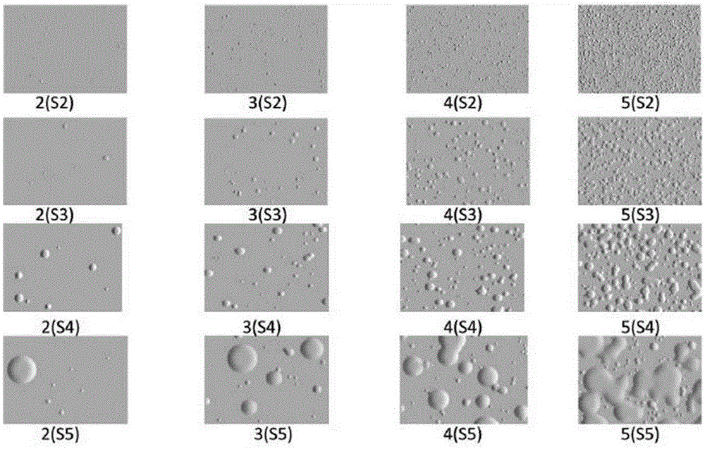 Anticorrosive coating damage distinguishing system and assessment method thereof