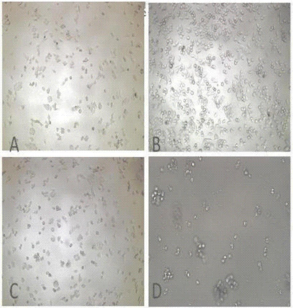 sgRNA of targeting IGF-IR gene, and applications thereof