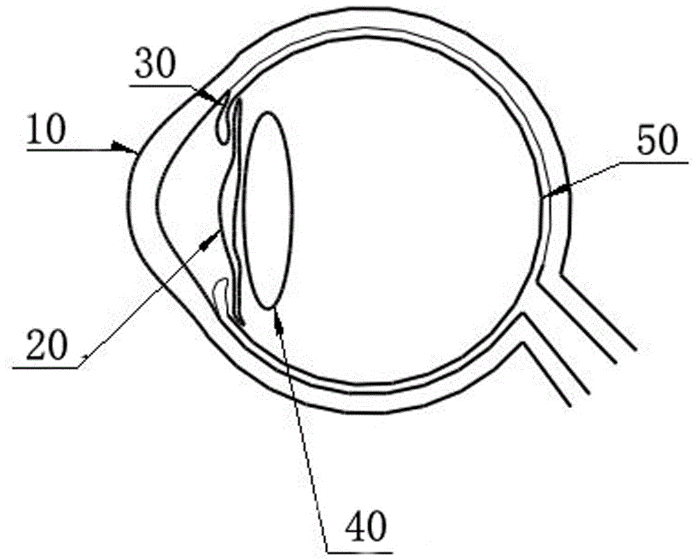 Corneal graft cascade method for improving tissue engineering artificial cornea diopter