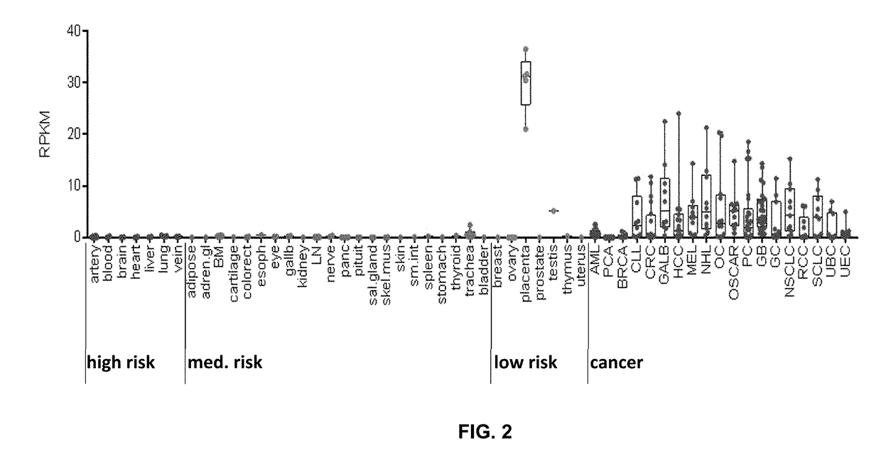 Peptides and combination of peptides for use in immunotherapy against cancers