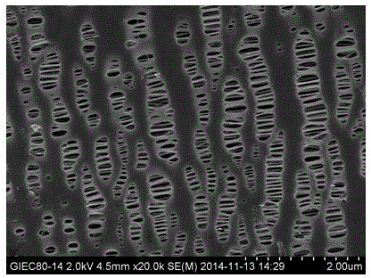 Method for preparing environment-friendly hydrophilic porous coating used for modifying surface of porous membrane