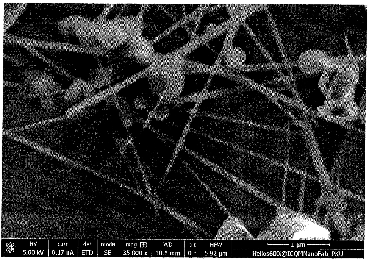 A kind of preparation method of fe3o4/bi core-shell nanorod