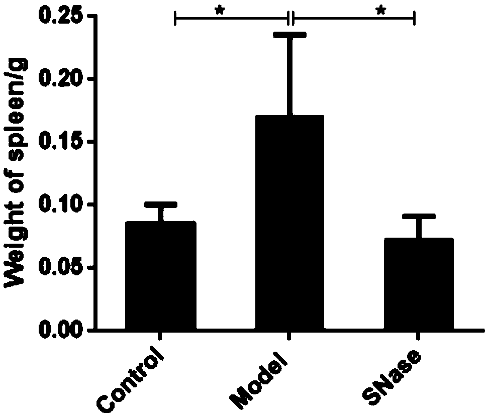 Application of SNase in preparation of medicament for treating inflammatory bowel disease