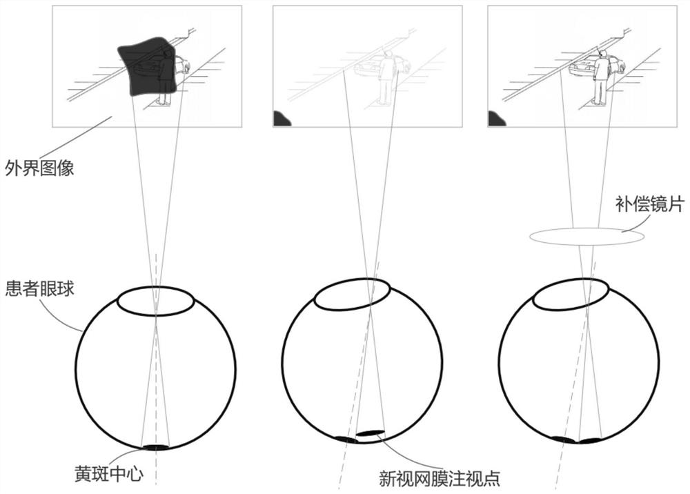 Edge visual field training equipment and method based on visual field center damage