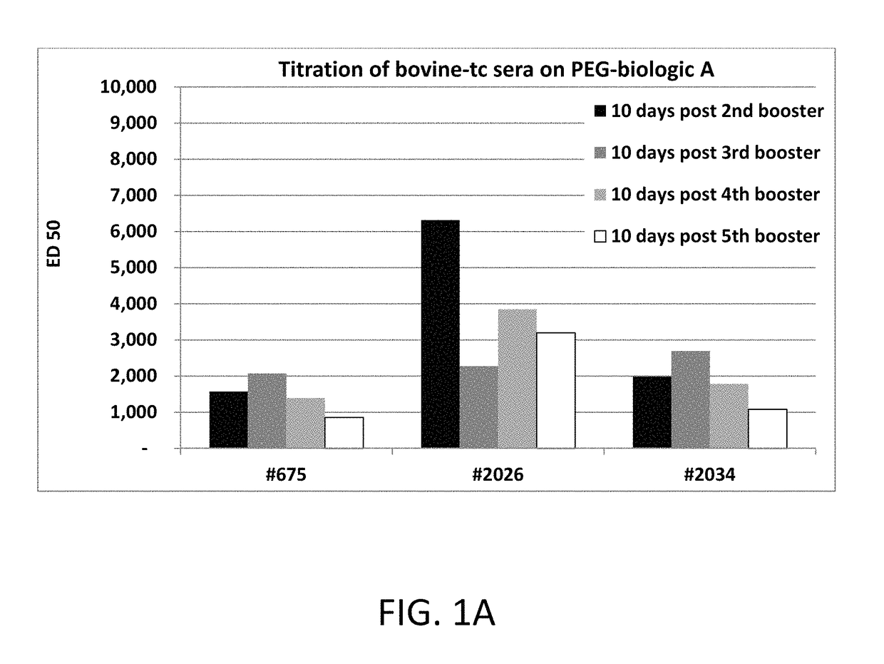 Antibodies to polyethylene glycol