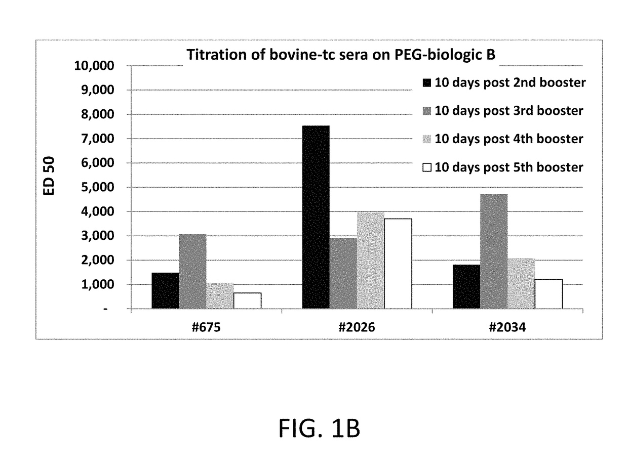 Antibodies to polyethylene glycol