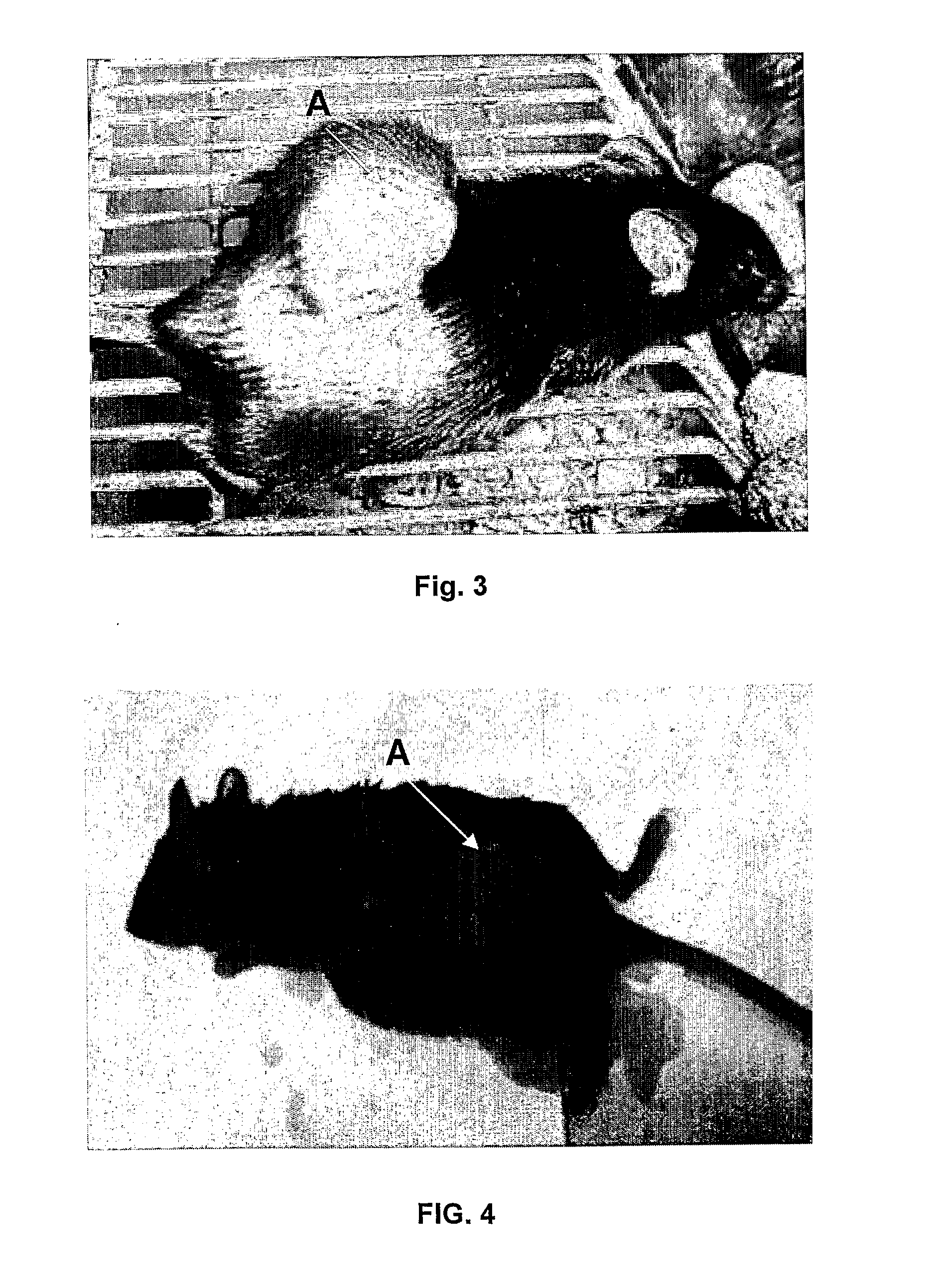 Methods to prepare penta-1,4-dien-3-ones and substituted cyclohexanones and derivatives with antitumoral and antiparasitic properties, the compounds and their uses