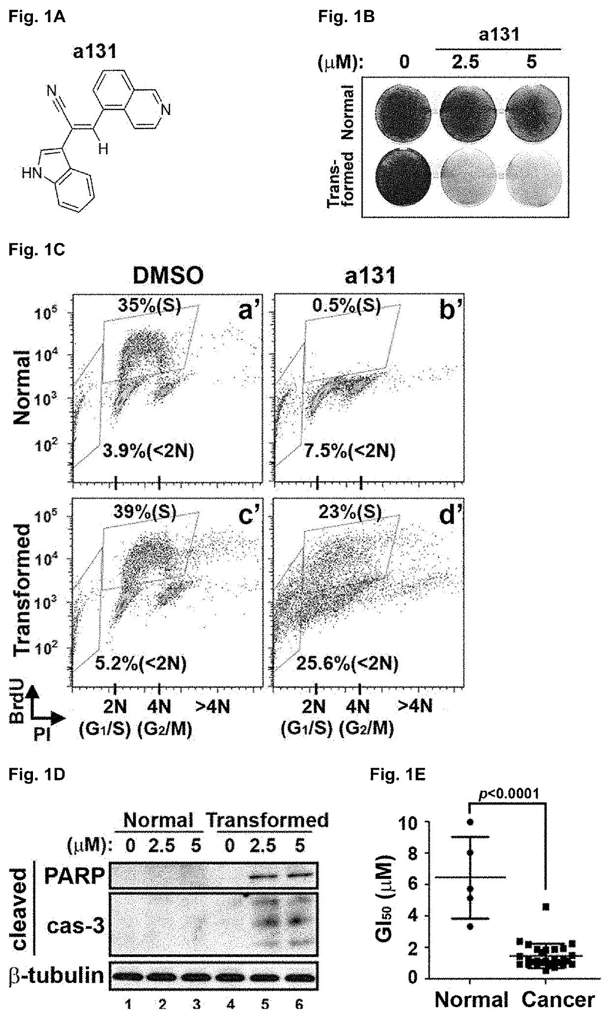 Anti-cancer compounds and uses thereof