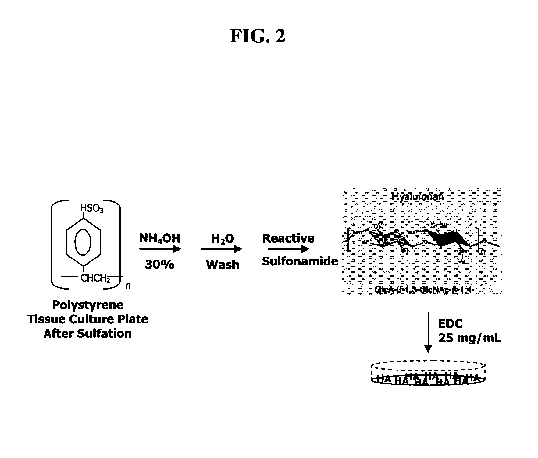 Method for Chondrocyte Expansion with Phenotype Retention