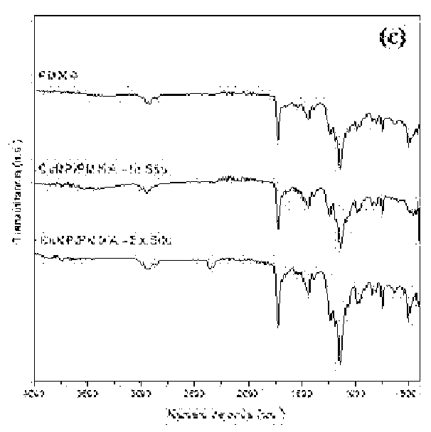 Preparation process of dental and orthopedic acrylic materials with antimicrobial properties using copper nanoparticle technology