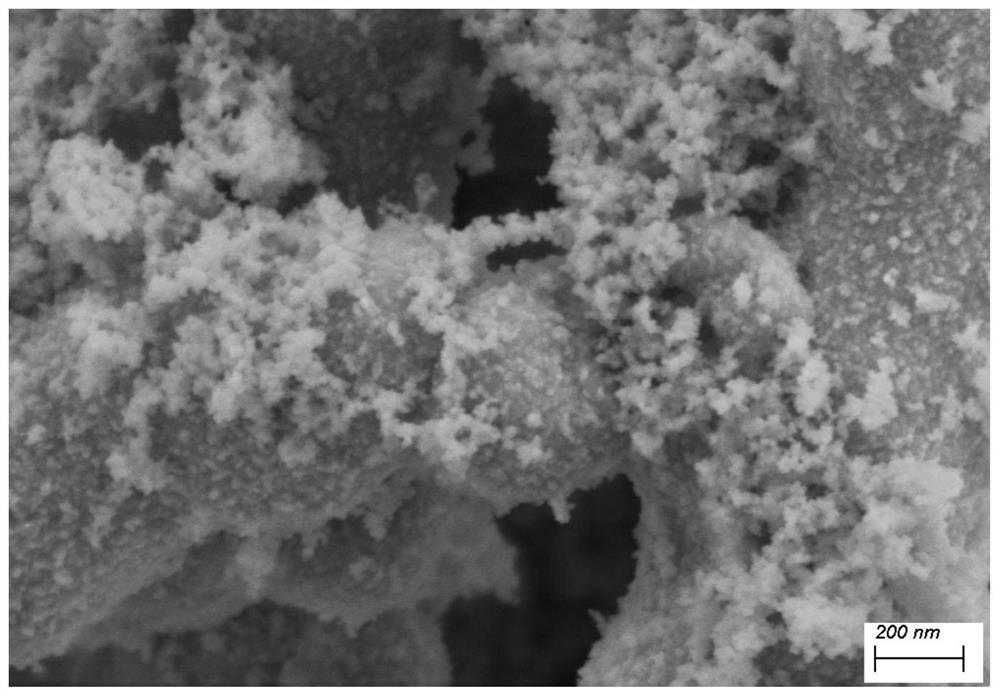 Preparation method of bismuth oxide composite visible light catalytic material loaded with CdS quantum dots and product prepared by preparation method