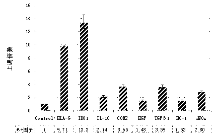 Method for strengthening immune-suppression function of mesenchymal stem cells