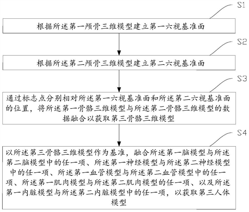 Human body model modeling method and device, storage medium and electronic equipment