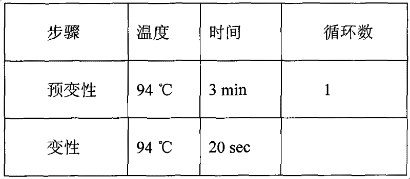 EGFR gene extron 20 mutational detecting probe, liquid phase chip and detecting method thereof