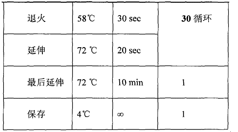 EGFR gene extron 20 mutational detecting probe, liquid phase chip and detecting method thereof