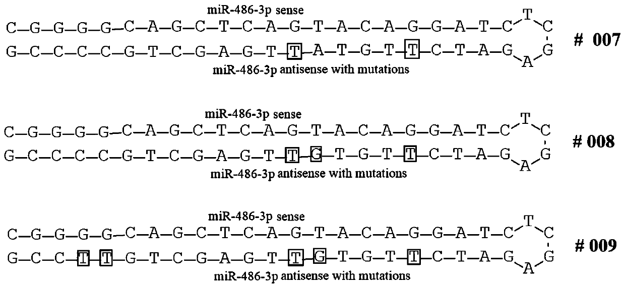 Method for specificity overexpression of miRNA of slow virus mediated mammal cells