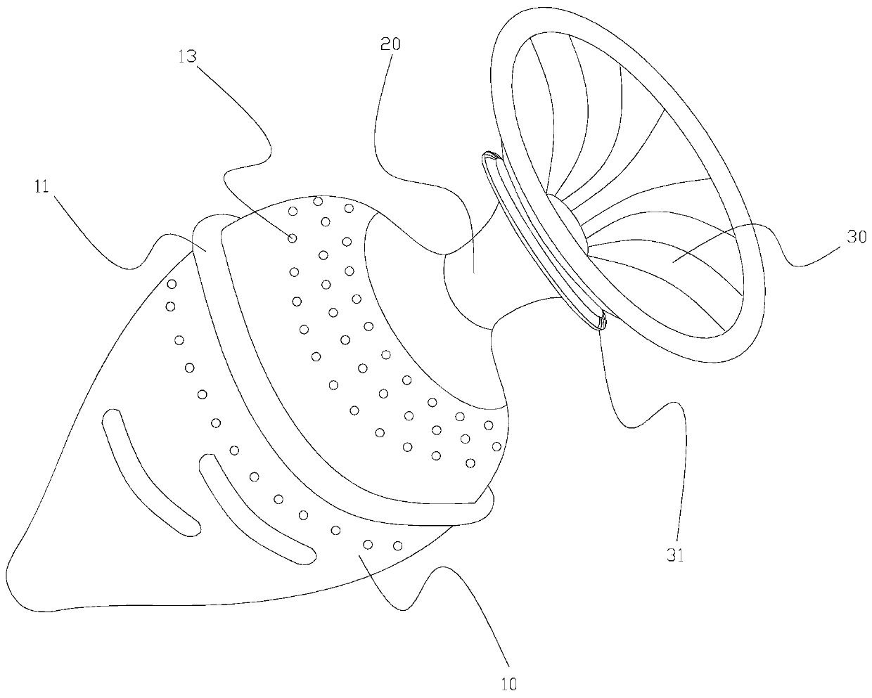 Traditional Chinese medicinal composition for treating hemorrhoids, preparation method thereof and anal plug