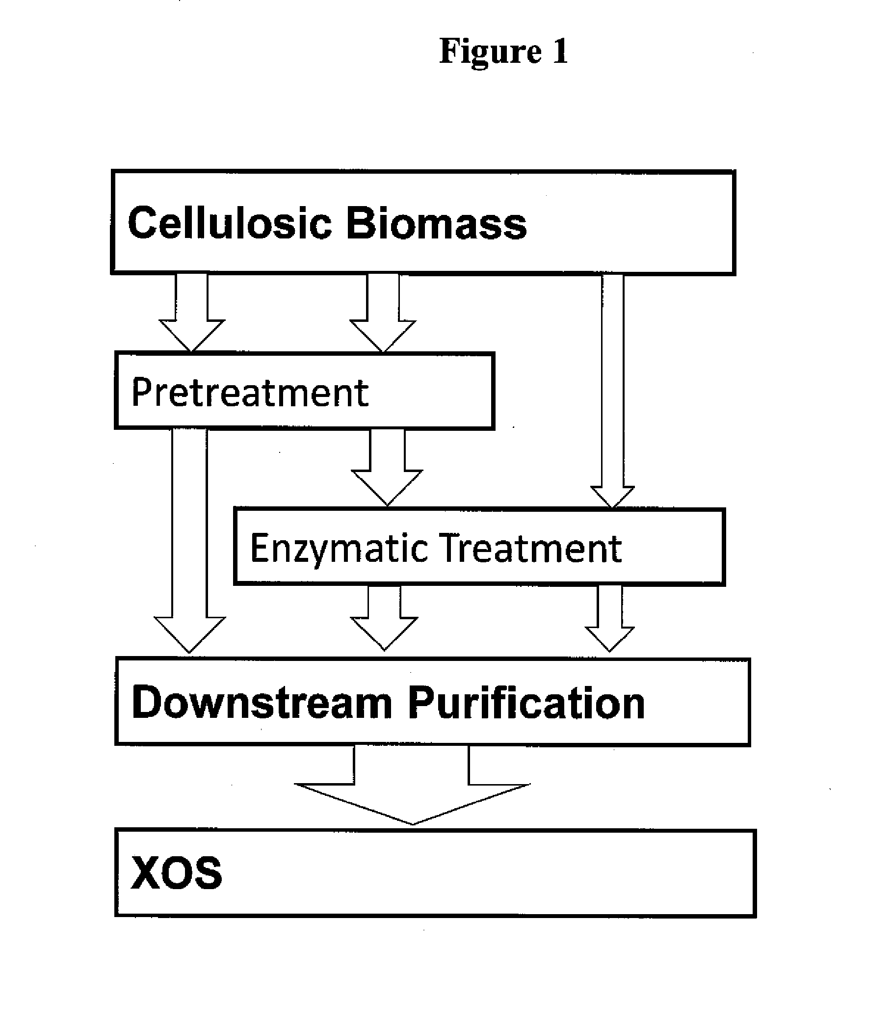 Integrated biorefinery