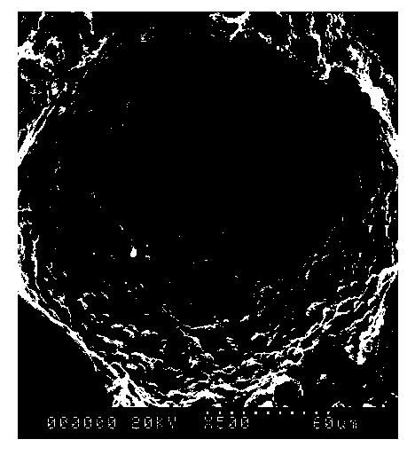 Artificial bone scaffold material for enhancing biocompatibility and preparation method thereof