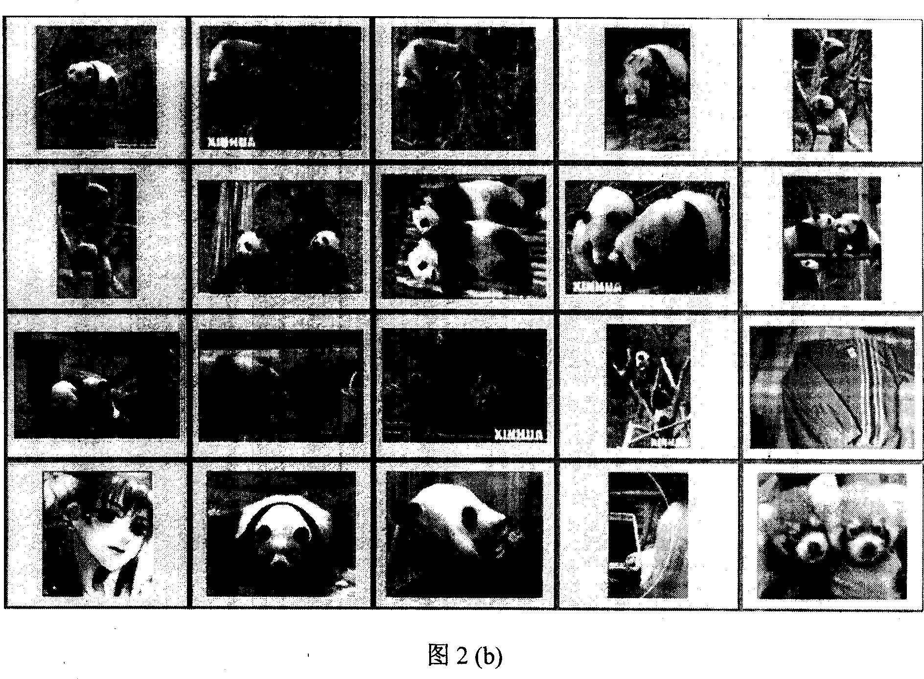 Region based multiple features Integration and multiple-stage feedback latent semantic image retrieval method