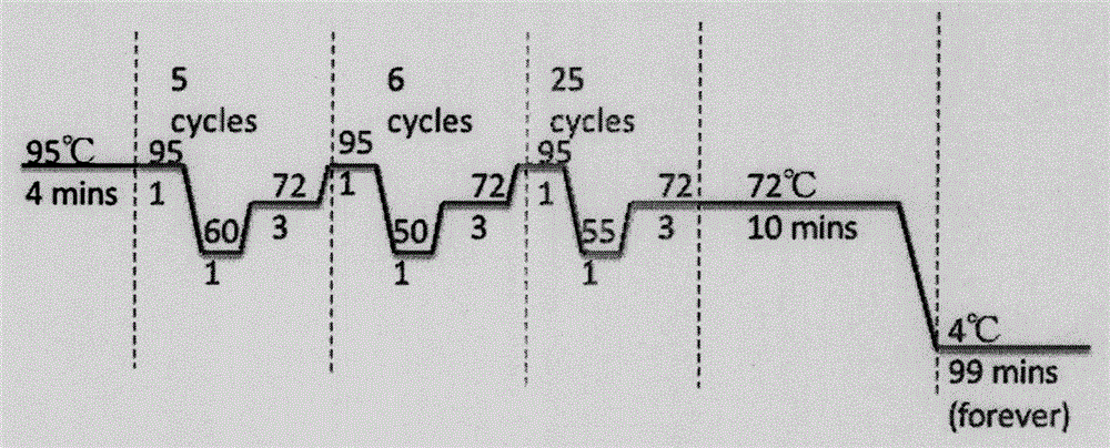 Method for improving thermal stability of interleukin IL-34