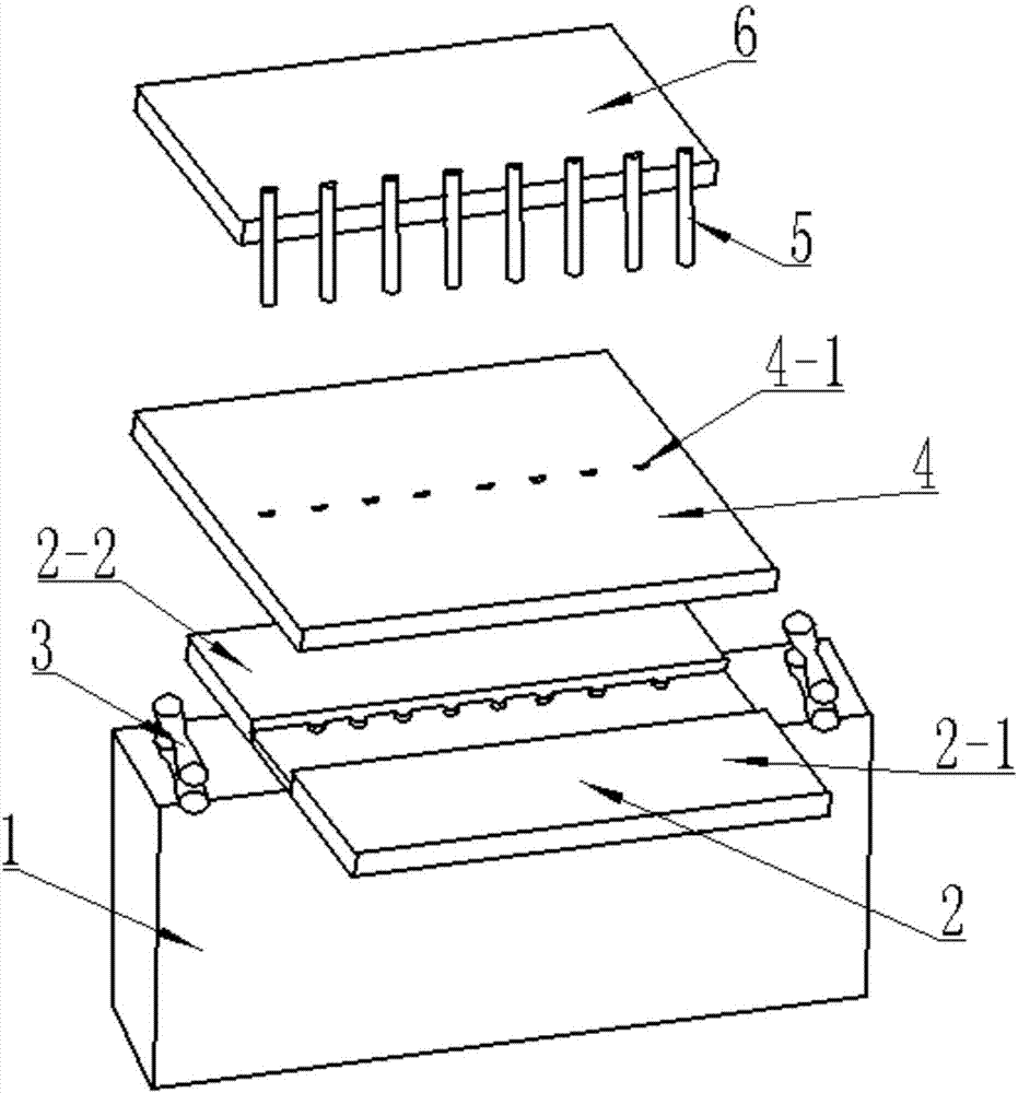 Hose punching device and hose punching method