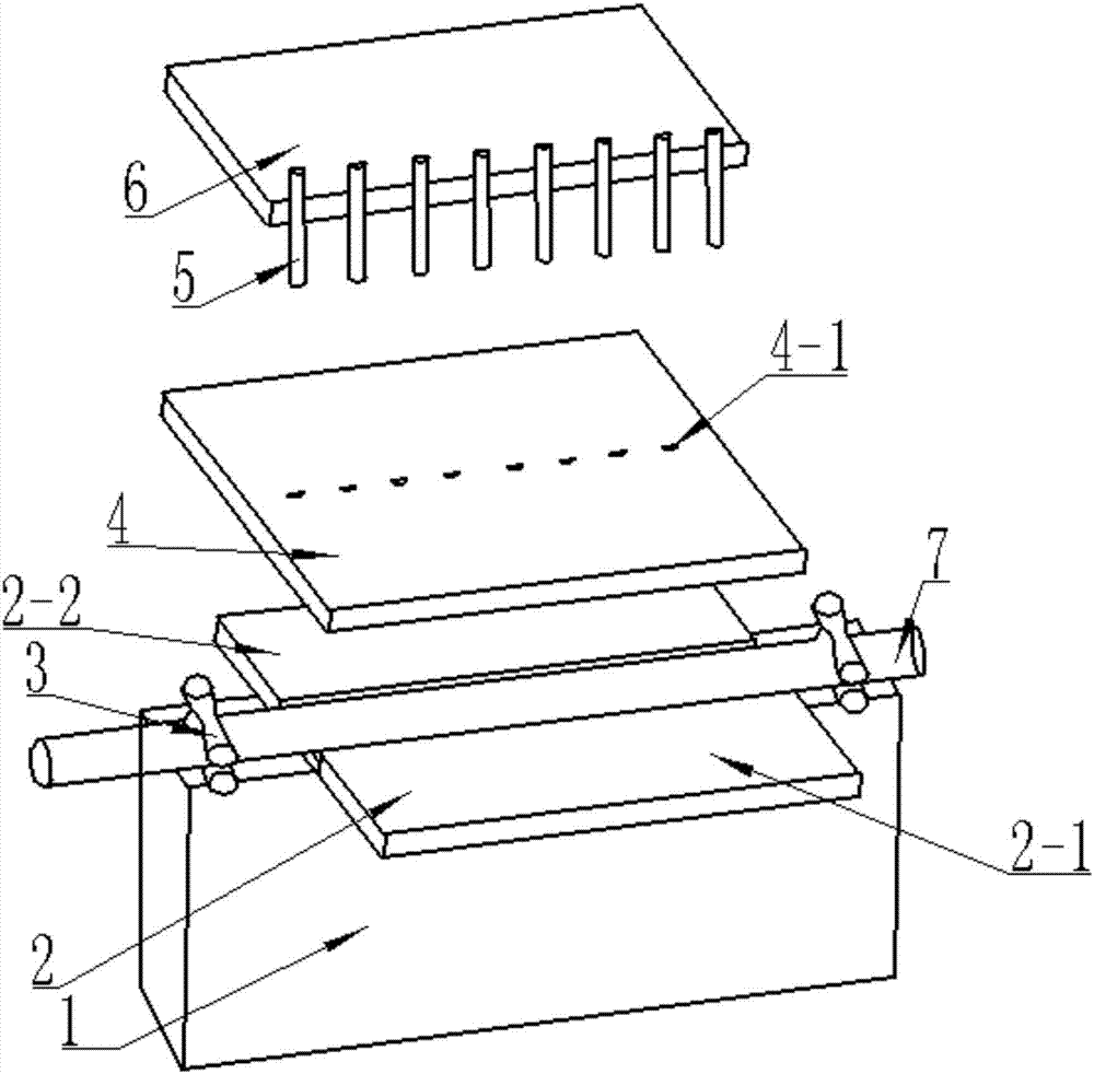 Hose punching device and hose punching method