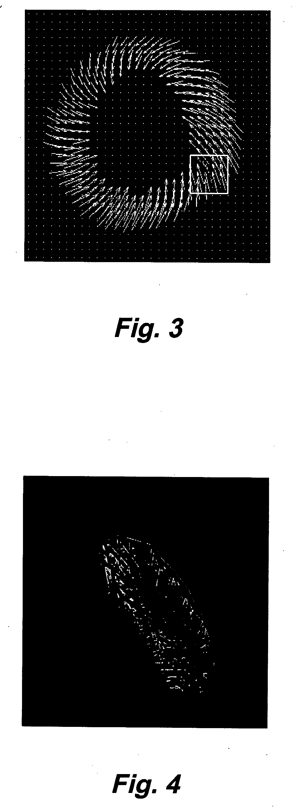 Motion-guided segmentation for cine dense images