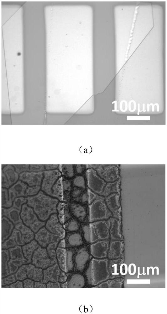 A kind of organic single crystal spin valve and its preparation method and application