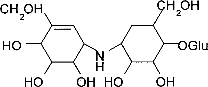 Sphingobacterium multivolume and method for conversing effective teichomycin by using the same