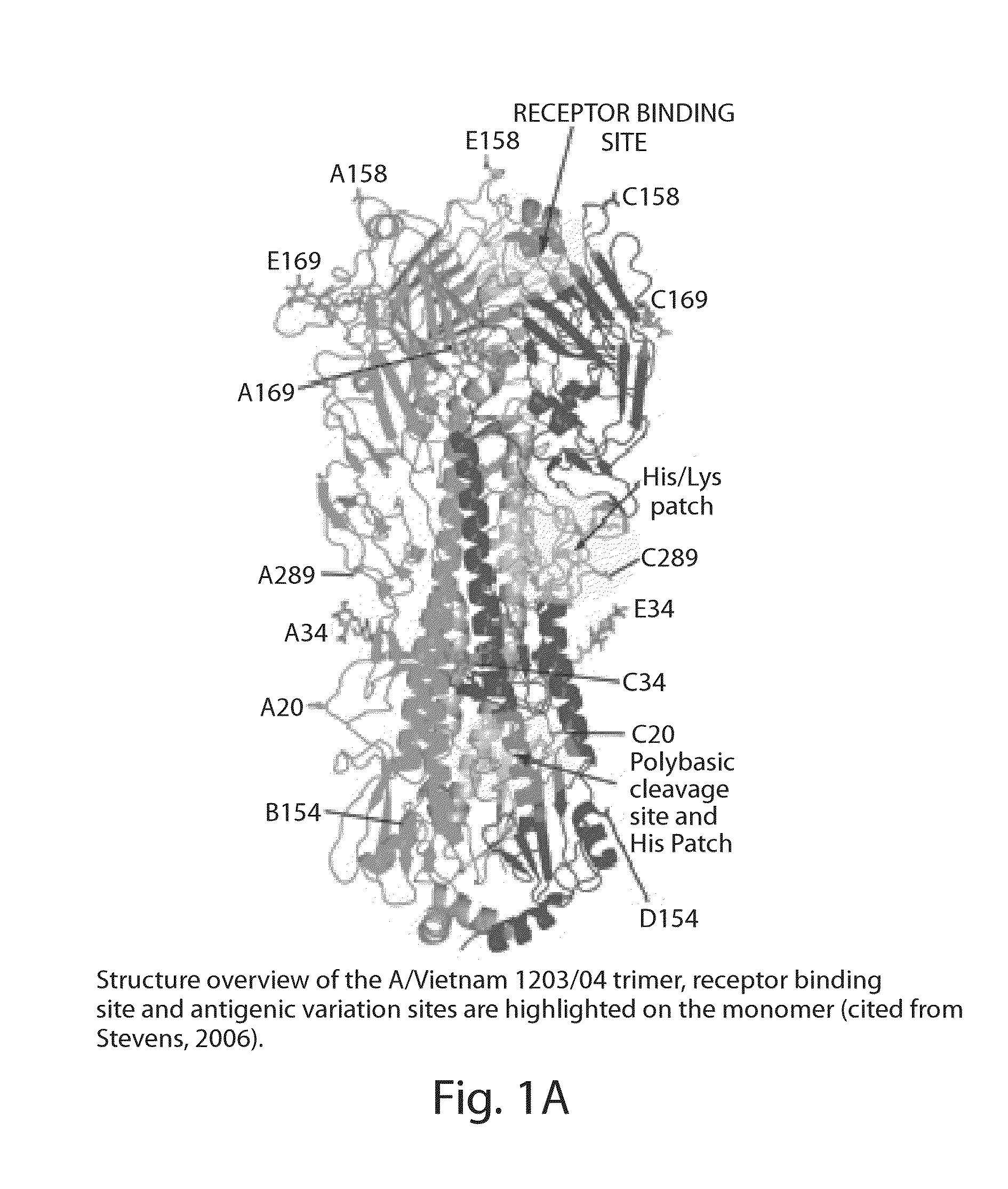 Antibodies Against Influenza Virus and Methods of Use Thereof