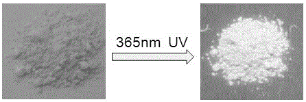 Preparation method of graphite phase carbon nitride solid phosphor and its application in shallow fingerprint extraction