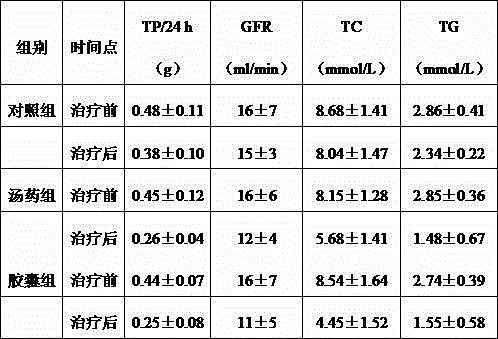 Capsule for treating diabetic kidney damage